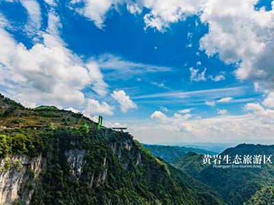 新興服務/教育文旅